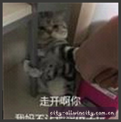 陈浩